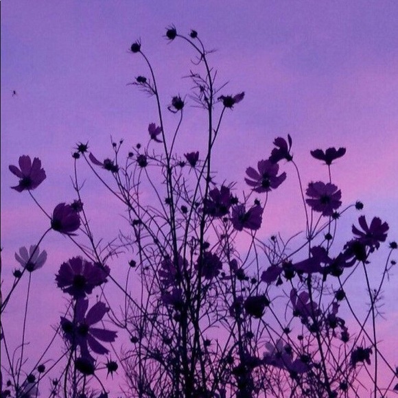 Meet your Posher, Kaitlynn - Picture 1 of 1